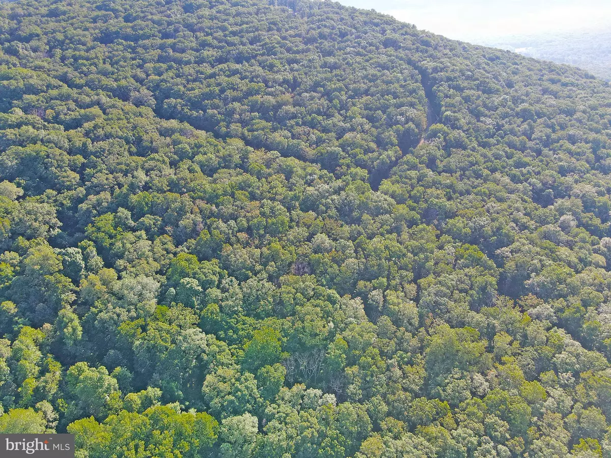 Slanesville, WV 25444,LOT 5 TOWER RD