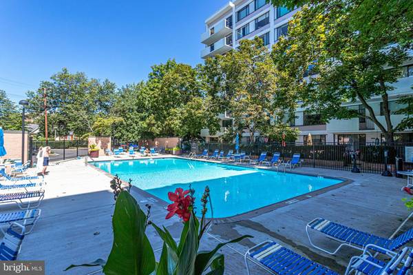 Arlington, VA 22203,4501 ARLINGTON BLVD #109