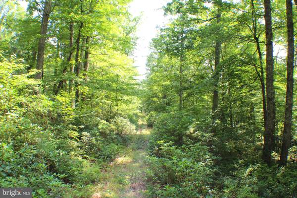 15.44 ACRES HIGH KNOB RD, Old Fields, WV 26845