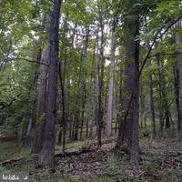 Lost River, WV 26810,LOT B-78 TIMBER LINE