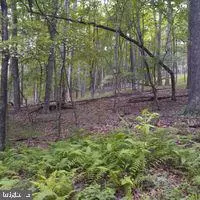 LOT B-78 TIMBER LINE, Lost River, WV 26810