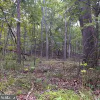 Lost River, WV 26810,LOT B-78 TIMBER LINE