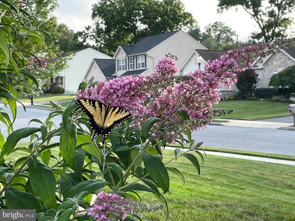 Sinking Spring, PA 19608,2513 GODDARD AVENUE