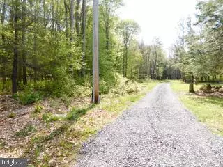 High View, WV 26808,CAPONWOODS RESORT ROAD - LOT 17