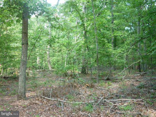 LOT 169 LINDA LANE, Mineral, VA 23117