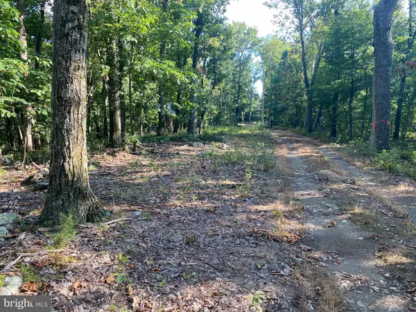 Mc Connellsburg, PA 17233,N MOUNTAIN TOP DR