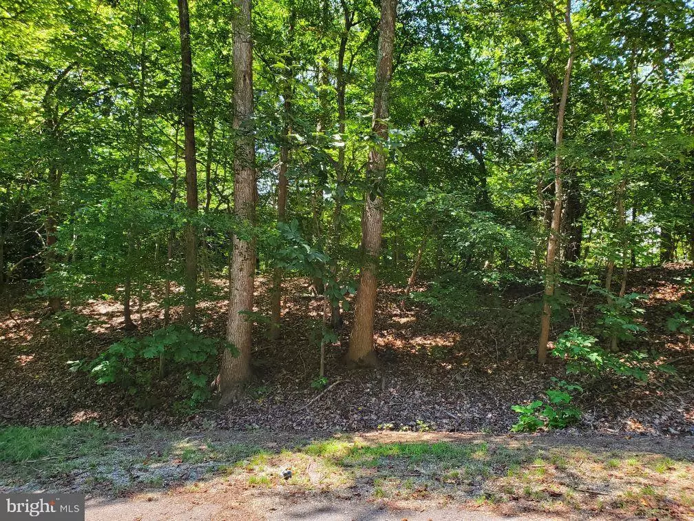 Montross, VA 22520,LOT #97 ANGLER LANE