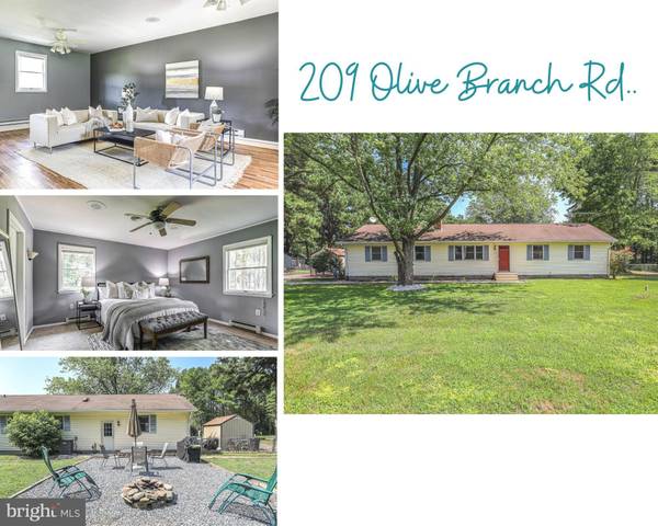 209 OLIVE BRANCH RD, Stevensville, MD 21666