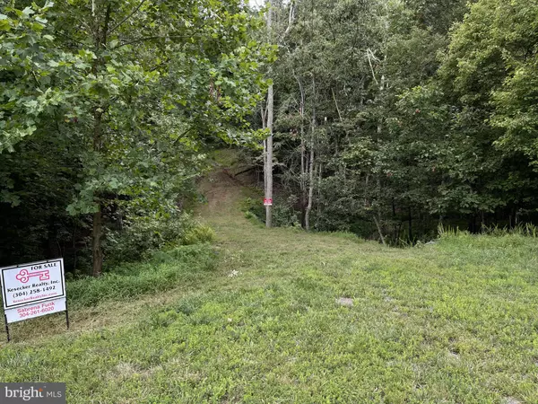 Paw Paw, WV 25434,LOT 13 ELDERBERRY LN