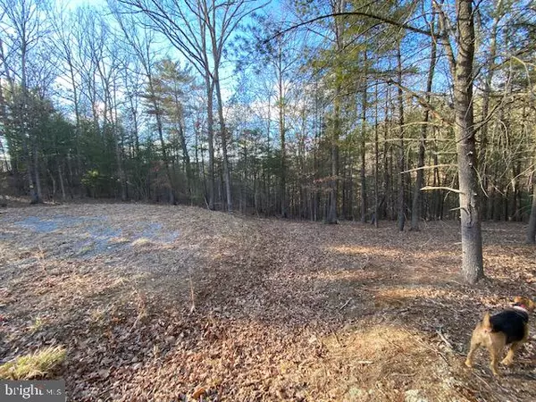 Wardensville, WV 26851,LOT 27 LOOKOUT RIDGE DRIVE