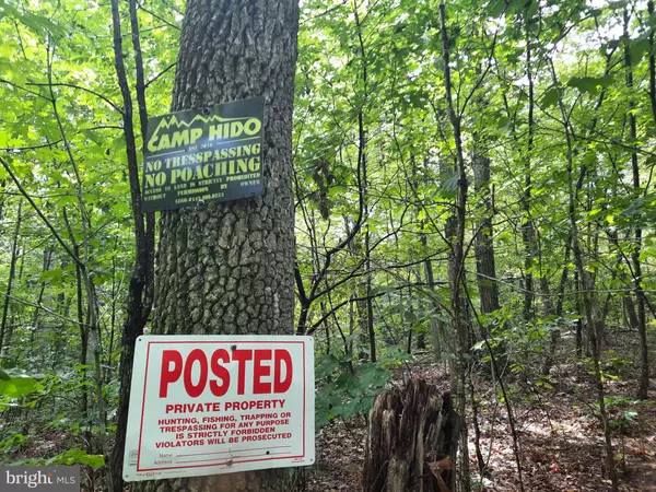 High View, WV 26808,107 ACRES BEAR RIDGE RD