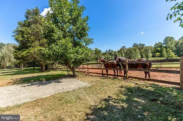 Nokesville, VA 20181,9772 DANIEL CT