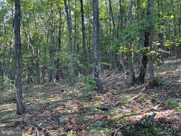 Clearville, PA 15535,LOT 8 RICE ROAD