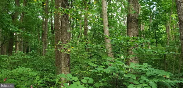 Bentonville, VA 22610,45-5B SMITH RUN RD