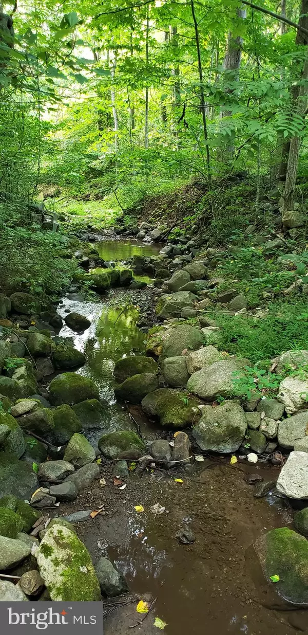 45-5B SMITH RUN RD, Bentonville, VA 22610