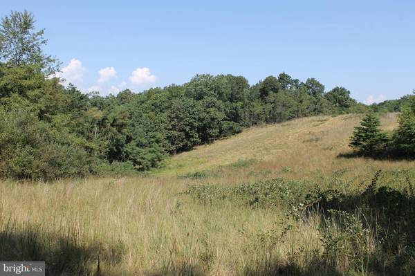 125 ACRES FORT ASHBY ROAD, Fort Ashby, WV 26719