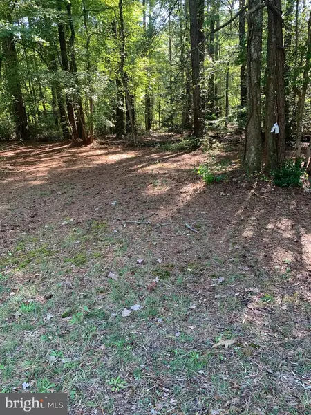 LOT 102 MACHODOC DR, Montross, VA 22520