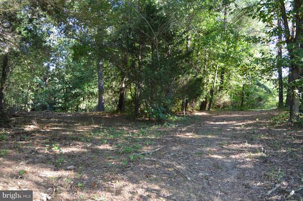 Bumpass, VA 23024,LOT 2 KENTUCKY SPRINGS ROAD