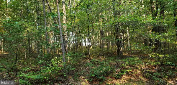 Mount Jackson, VA 22842,LOT 176 SPRUCE LN