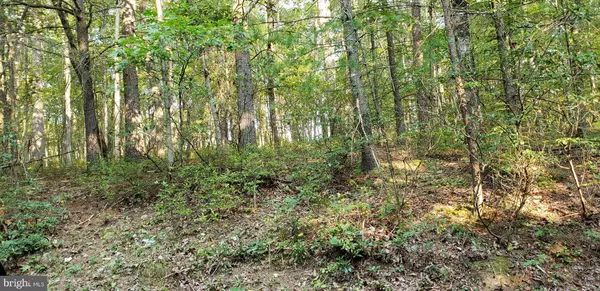 Mount Jackson, VA 22842,LOT 176 SPRUCE LN