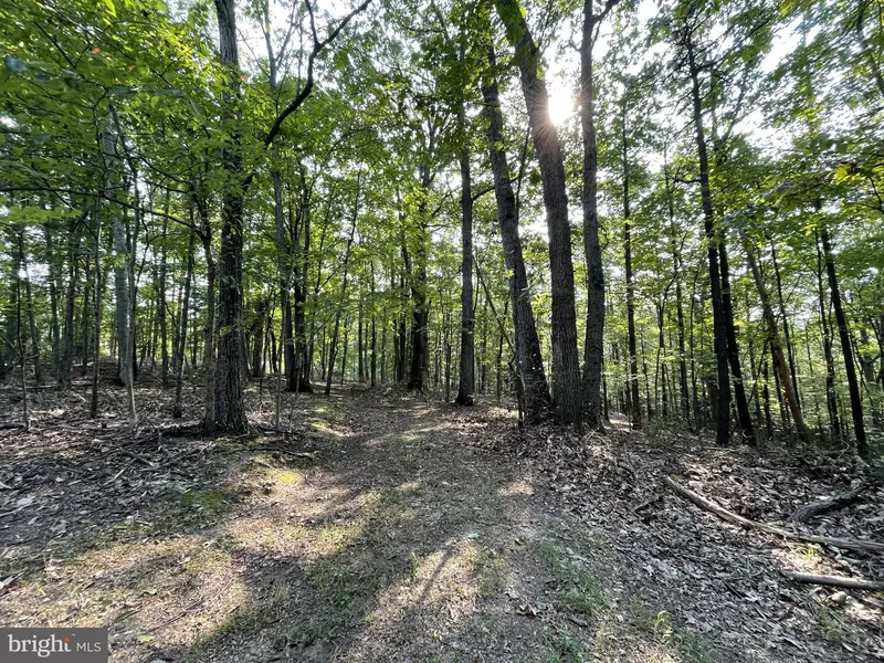 BIRCH GROVE LN, Berkeley Springs, WV 25411