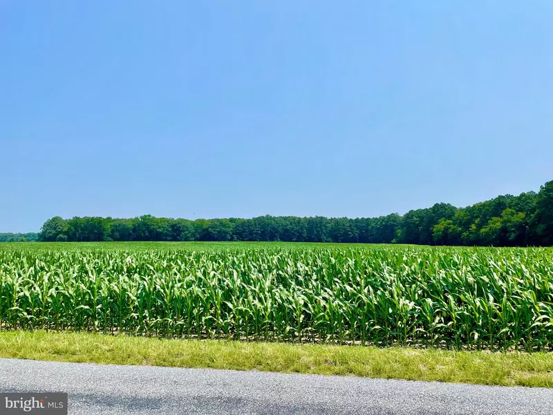 LONESOME ROAD, Seaford, DE 19973