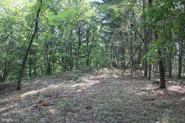 Moorefield, WV 26836,LOT 288 RIDGE VIEW RD