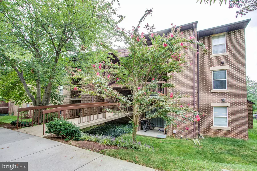 7902 PEARLBUSH DR #203, Gaithersburg, MD 20879