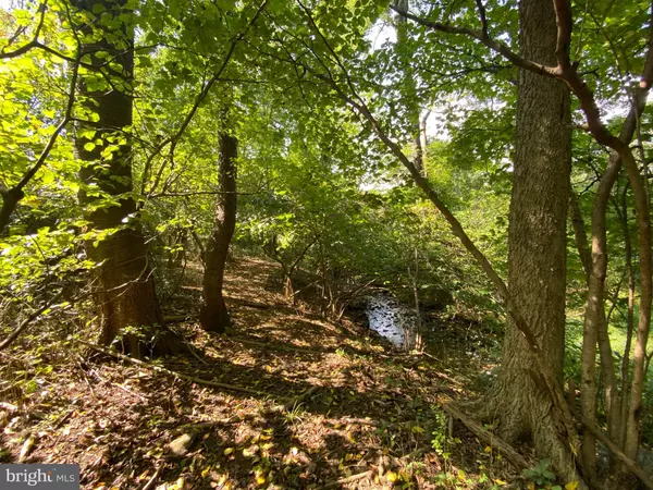 Rohrersville, MD 21779,3937 ROHRERSVILLE RD #LOT 2