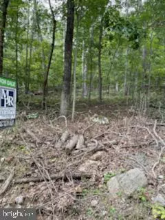 LOT # 3 OFF CORDWOOD DRIVE AND SHICKLE LANE, Gore, VA 22637