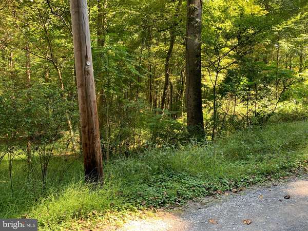 Great Cacapon, WV 25422,LOT 17 CACAPON RETREAT LN