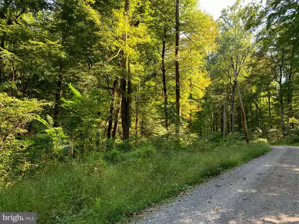 Great Cacapon, WV 25422,LOT 17 CACAPON RETREAT LN