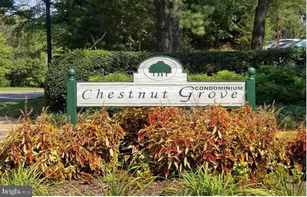 11244 CHESTNUT GROVE SQ #11244-354, Reston, VA 20190