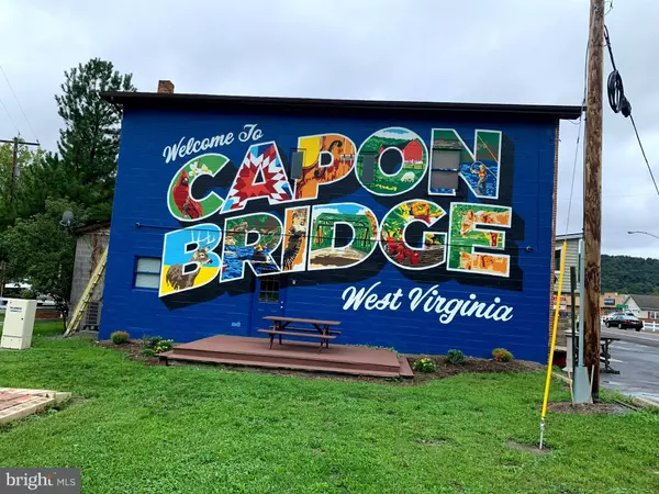 Capon Bridge, WV 26711,ALKIRE CT