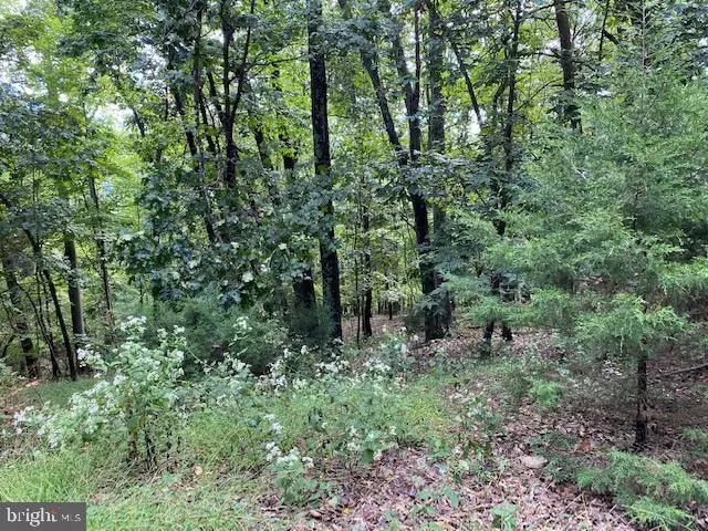 LOT 6 ANDERSON RIDGE, Wardensville, WV 26851