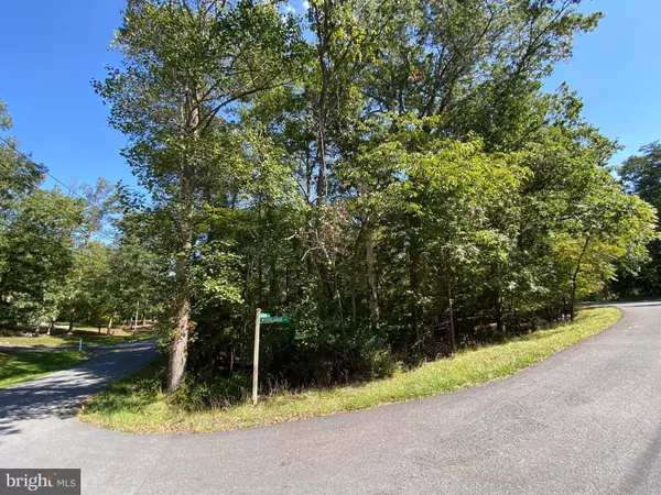 Cross Junction, VA 22625,LOT 163 WOODLANDS LN