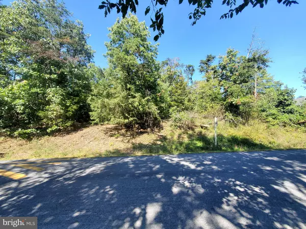 Cross Junction, VA 22625,LOT 4 S LAKEVIEW DR