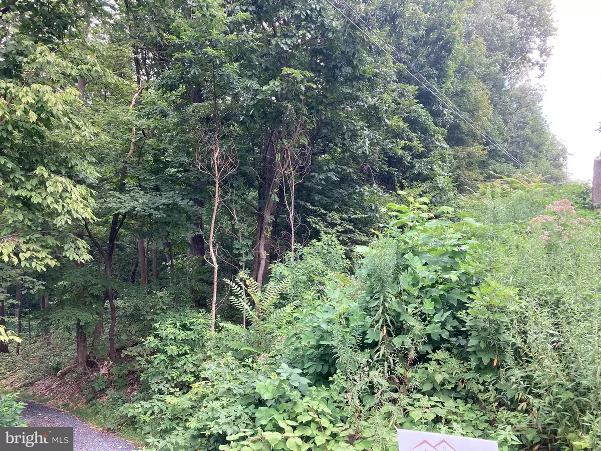 Chester Gap, VA 22623,LOT 9 CHEROKEE LN