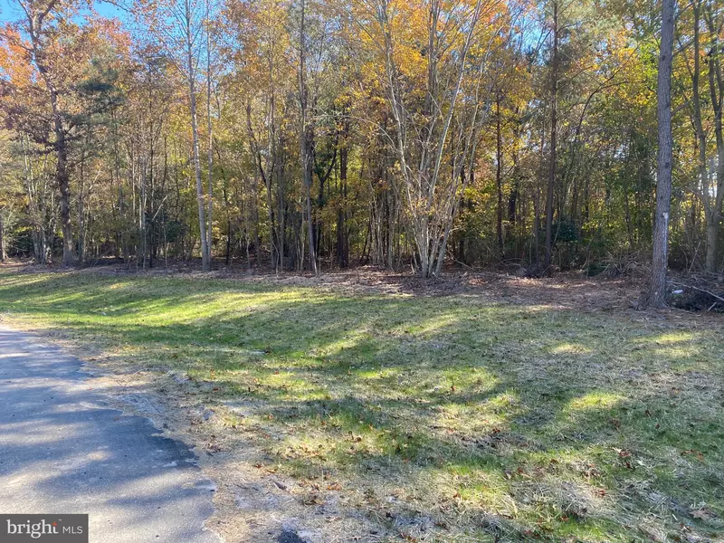 28130 BLUEBERRY AVE #LOT 2, Dagsboro, DE 19939