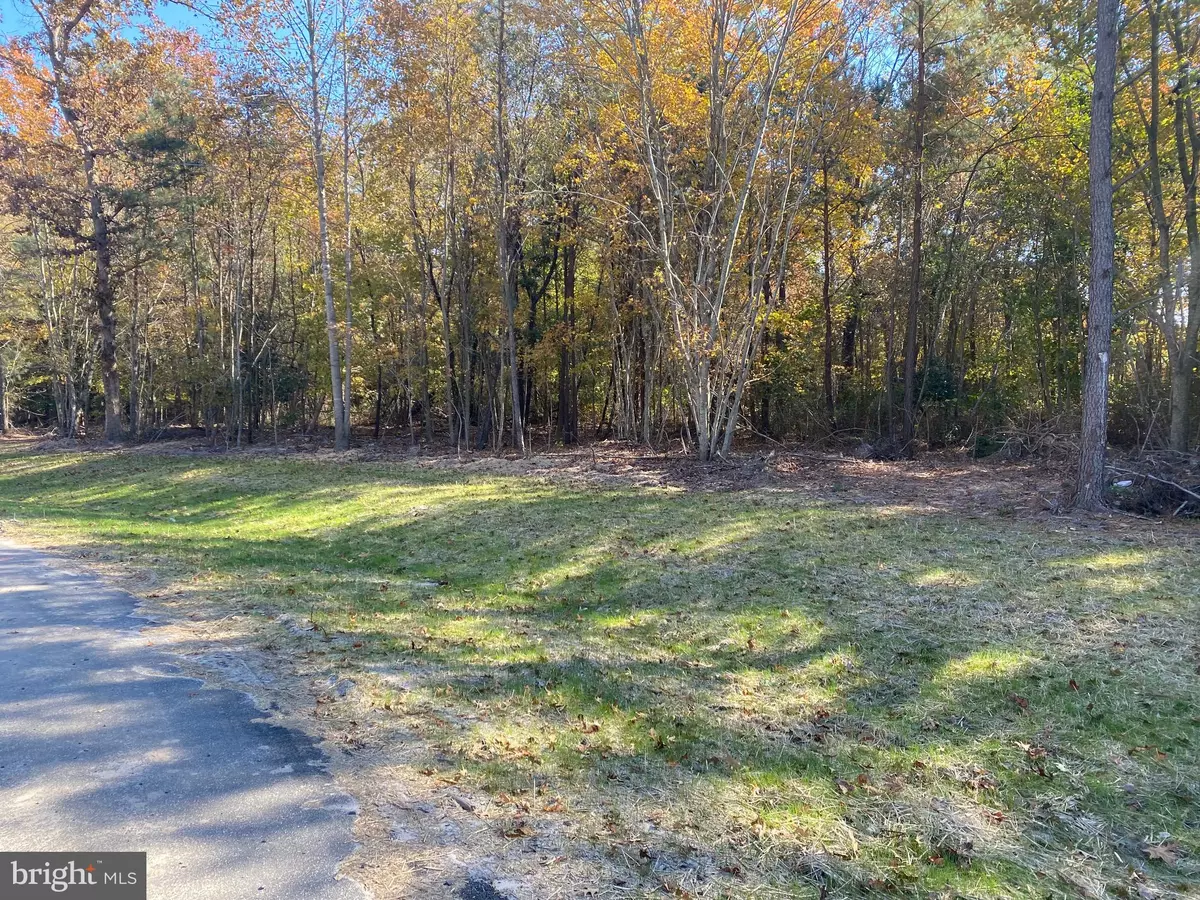 Dagsboro, DE 19939,28130 BLUEBERRY AVE #LOT 2