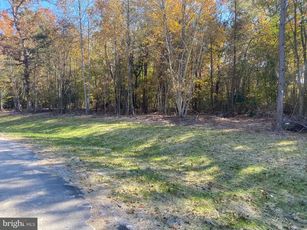 Dagsboro, DE 19939,28130 BLUEBERRY AVE #LOT 2