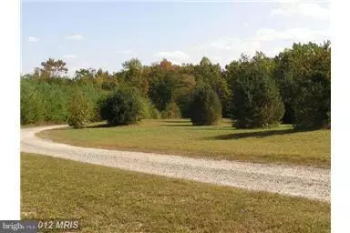 Partlow, VA 22534,5701 PARTLOW RD