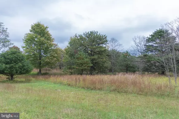 Hedgesville, WV 25427,LOT 54 SAPPHIRE DRIVE