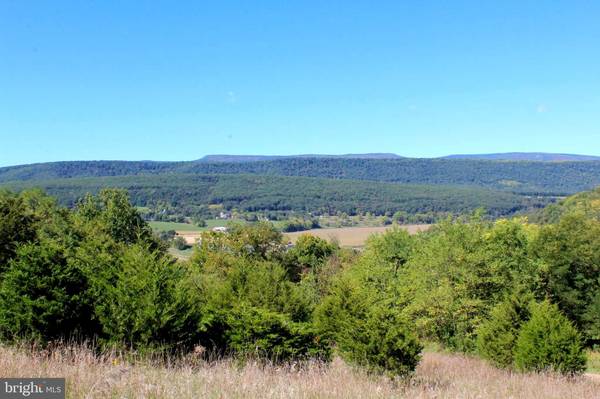 24 +/- ACRES OFF SARATOGA DR, Upper Tract, WV 26866