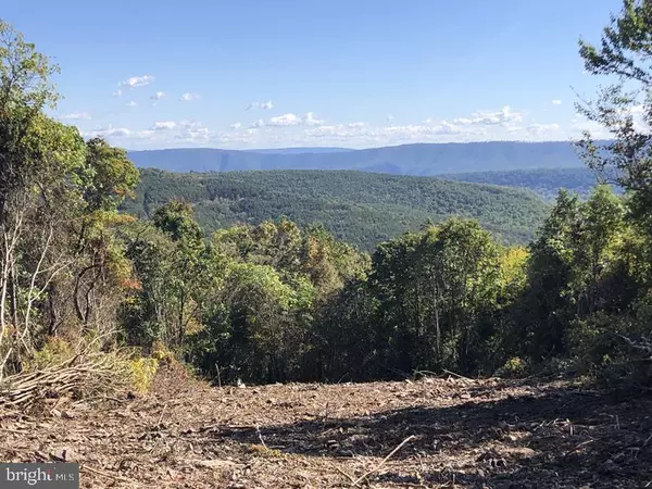 Springfield, WV 26763,91 BLUFFS ON THE POTOMAC