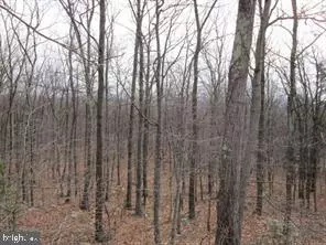 Winchester, VA 22602,293 FOX RUN LN