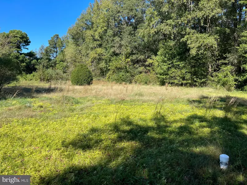 1367 BRYANTS CORNER RD, Hartly, DE 19953