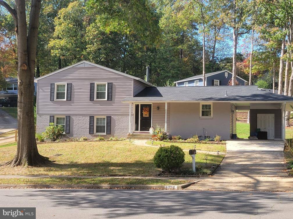6516 RIVINGTON RD, Springfield, VA 22152