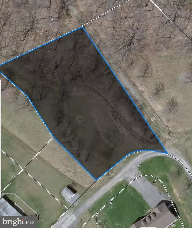 Westernport, MD 21562,.868 ACRE PARCEL GREEN ST