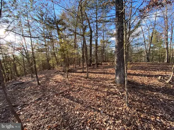 Wardensville, WV 26851,LOT 29 LOOK OUT RIDGE DRIVE